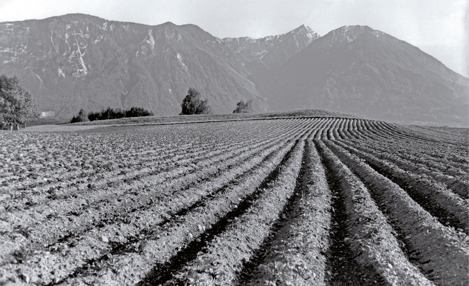 Rutarhof-Landschaft / Felder