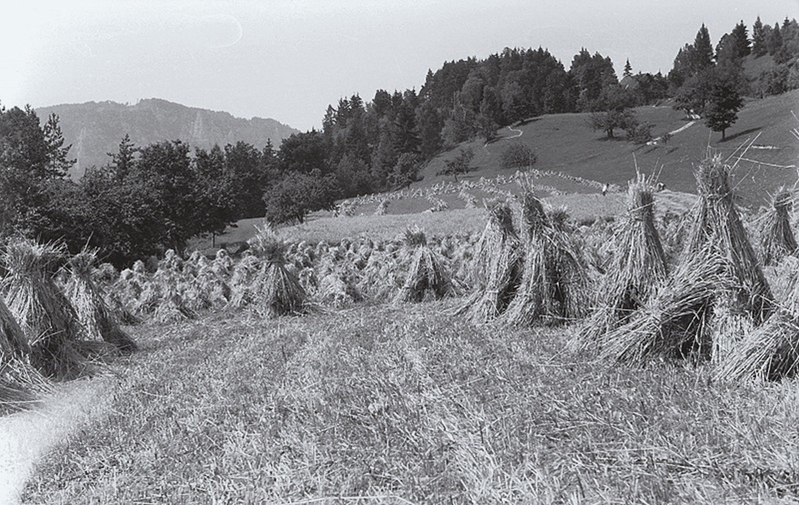 Rutarhof-Landschaft 